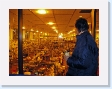 'I do like a bit of Wensleydale' - Mike in Tillamook cheese factory